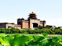 -莲花池公园
