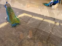 -西双版纳融创皇冠假日度假酒店