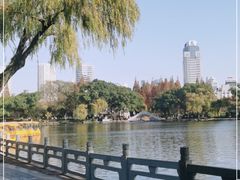 -月湖公园