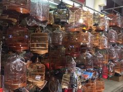 -园圃街雀鸟花园