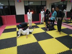 -金翼跆拳道巴西柔术拳击格斗学院