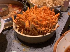 -鲜货俚鲜火锅(青果路店)