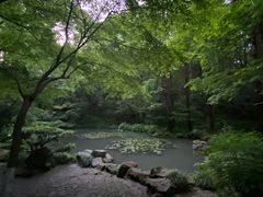 -宋宴(虎跑店)