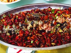 -秦扬居特色菜馆(上王村)