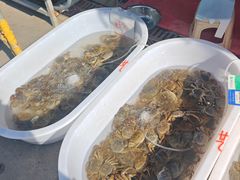 -上海龙吴水胜海发市场