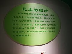 -上海昆虫博物馆