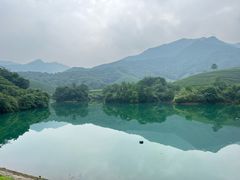 -龙坞茶村