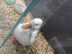 -狗道宠物(常熟印象城店)