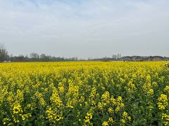 -中国天府农业博览园