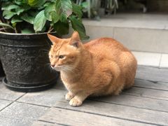 -默迹咖啡馆