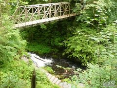 -凤凰山国家森林公园