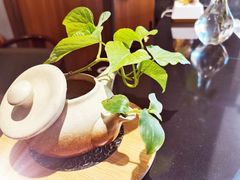-安多素食(广仁寺路店)