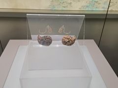 -中国江南水乡文化博物馆