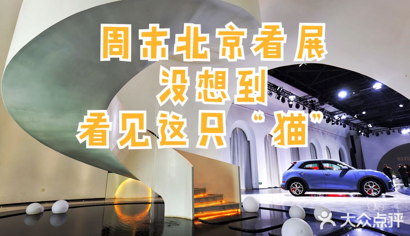 在北京摩卡艺术中心遇见“猫”