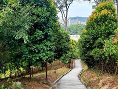 -火炉山森林公园