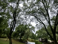 -上海共青森林公园