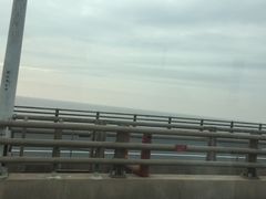-洋山深水港