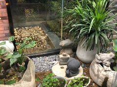 -川旺角川粤融合菜•海景餐厅(星海广场店)