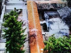 -高尔山公园
