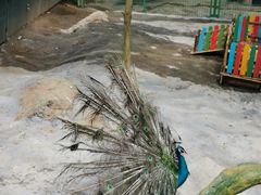 -呀诺达热带雨林