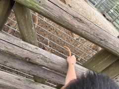 -苏州太湖西山岛开心农场