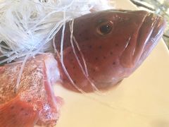 -辉哥火锅(虹桥路店)