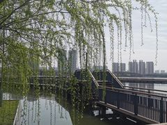 -月湖风景区
