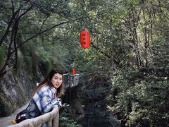 -石台牯牛降景区