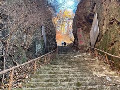 -天女山森林公园