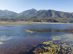 -腾冲北海湿地