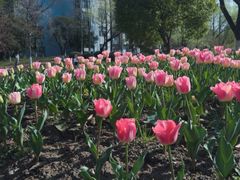 -杭州师范大学(下沙校区)