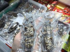 -渔乐圈海鲜餐厅(群力金江路店)