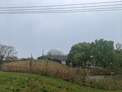 -佘山世茂艾美·御珍轩中餐厅