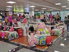 -厦门高崎国际机场-T3航站楼