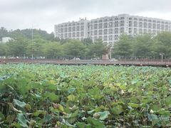 -五邑大学