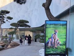 -罗红摄影艺术馆