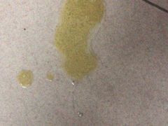 -芭比堂动物医院·心脏专科·夜诊·吉雅分院