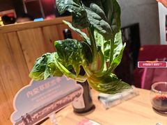 -巴奴毛肚火锅(相州店)