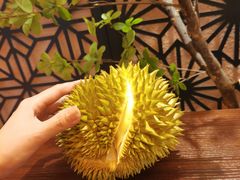 -贵木日本料理·铁板烧(新地假日广场店)