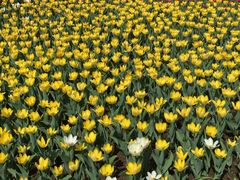 -长春公园(普阳街道)