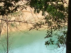 -广州市流溪河国家森林公园
