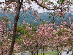 -白石龙音乐公园