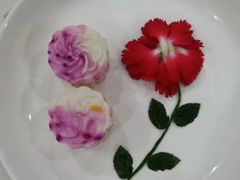 -天鹅到家·保姆月嫂育儿嫂(总店)