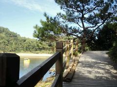 -中旅阿那亚九龙湖·公主酒店