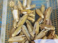 -海帮主·蒸汽海鲜青岛菜(栈桥火车站店)