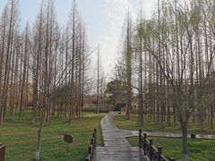 -南湖湿地公园