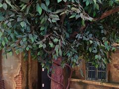 -天堂疯人院·沉浸式实景演绎密室