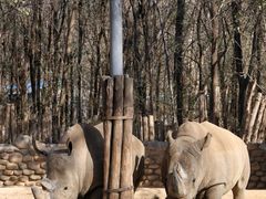 -北京野生动物园