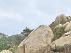 -鸡枕山
