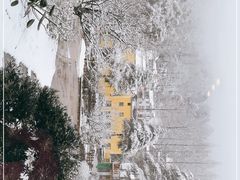 -曾福兴